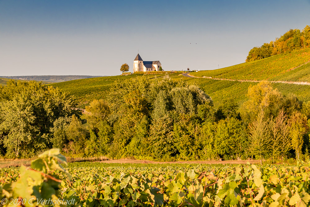 La Côte des Blancs