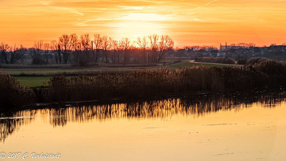 Wichelen - Polder Bergenmeersen (HDR)