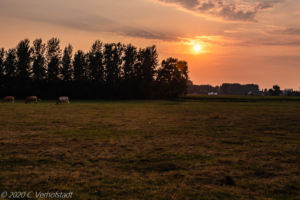 Wichelen_Watermolenweg