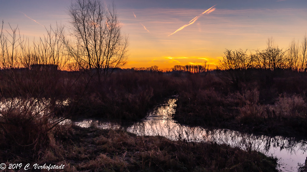 Wichelen - Polder Bergenmeersen