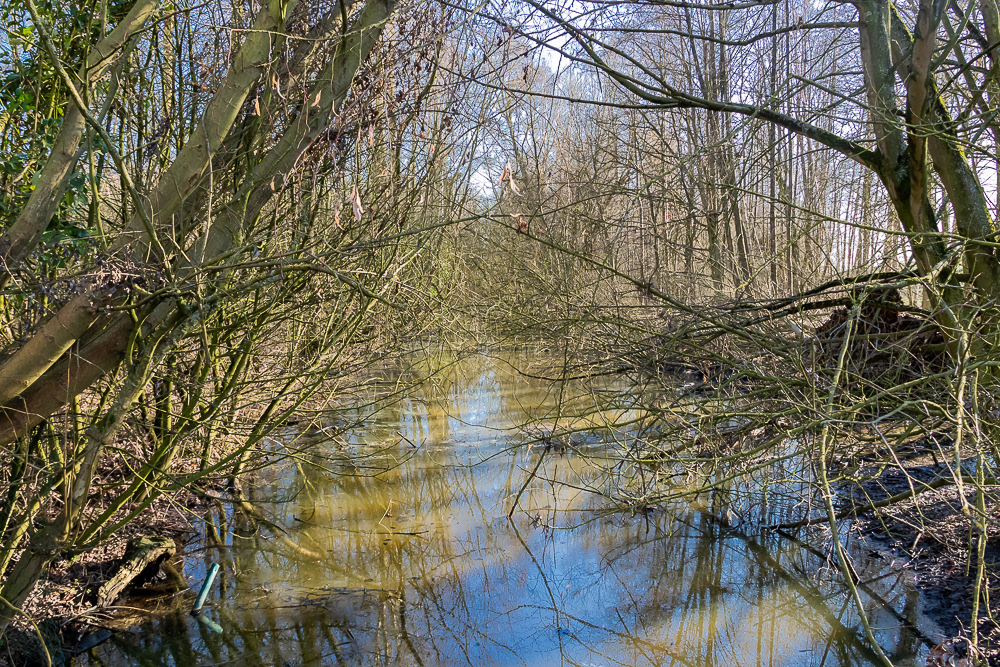 Natuurreservaat Het Zwijn