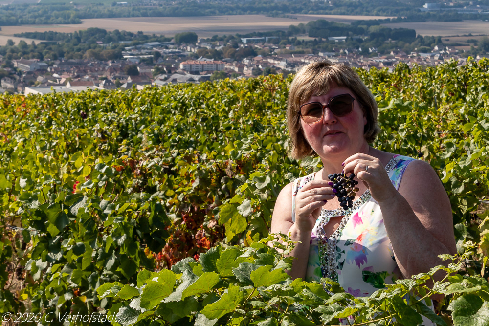 Montagne De Reims