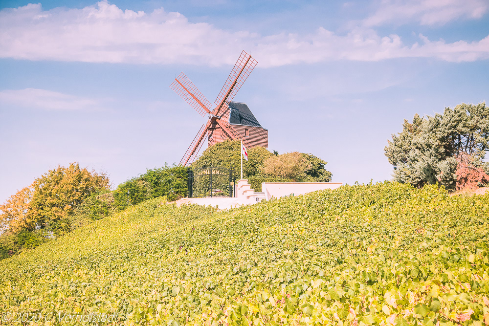 Montagne De Reims