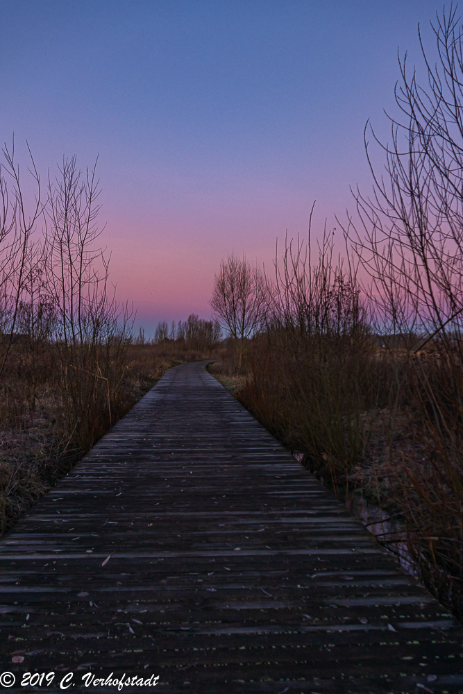 Wichelen - Polder Bergenmeersen