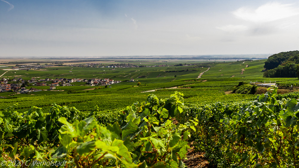 La Côte des Blancs