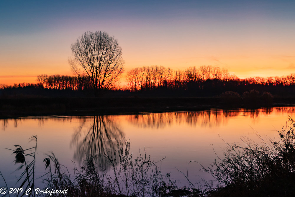 Wichelen - Polder Bergenmeersen