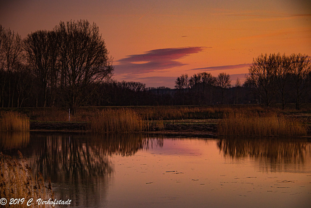 Wichelen - Polder Bergenmeersen