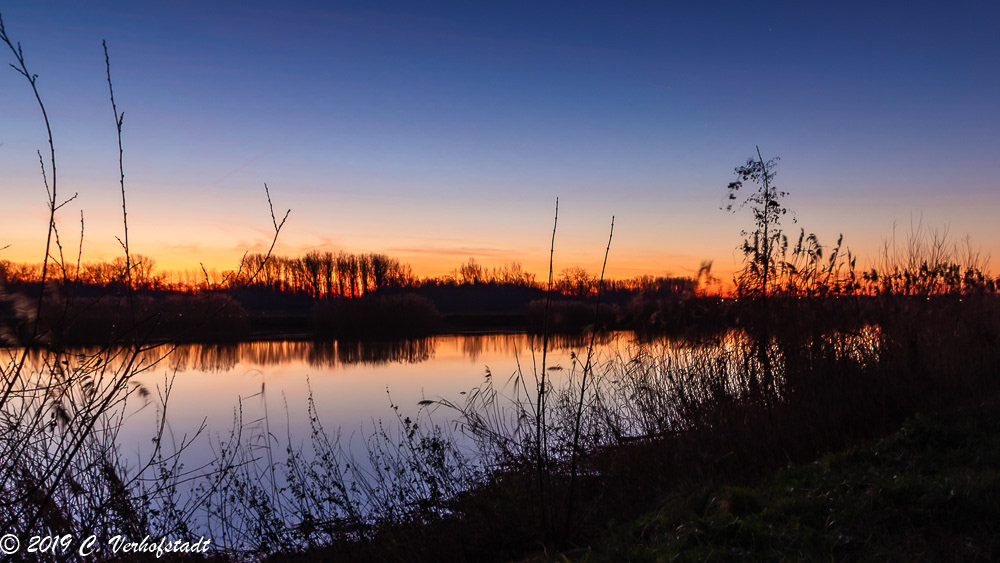 Wichelen - Polder Bergenmeersen