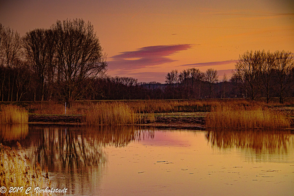 Wichelen - Polder Bergenmeersen (HDR)