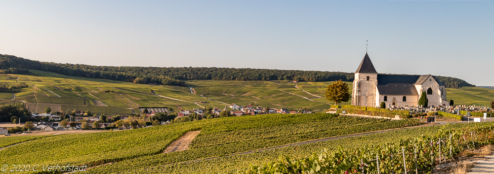 La Côte des Blancs