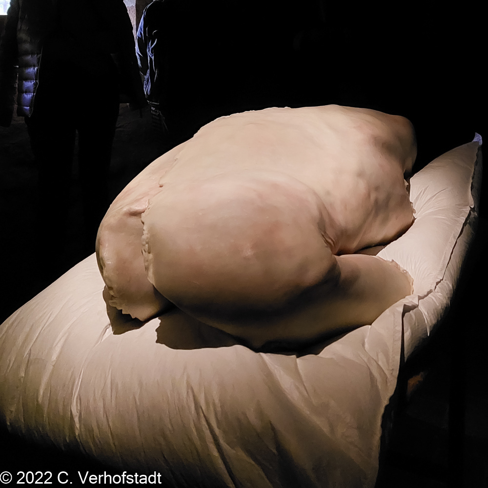 Berlinde De Bruyckere