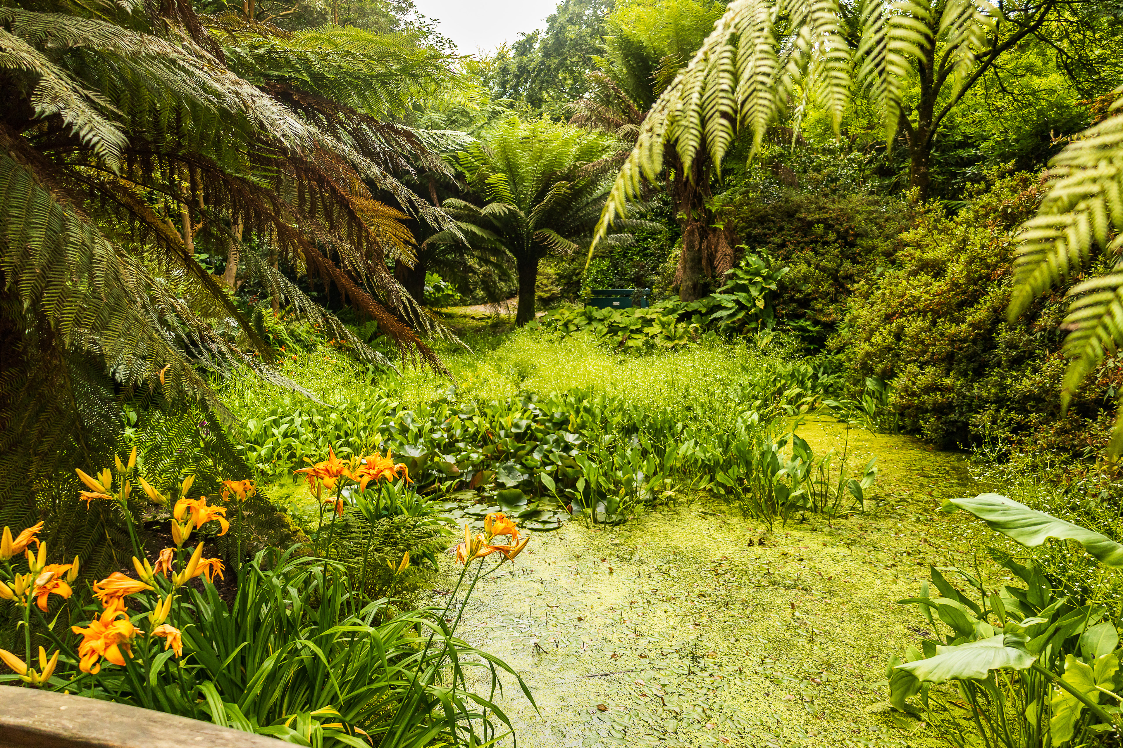 Trengwainton Garden