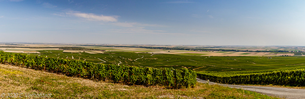 La Côte des Blancs