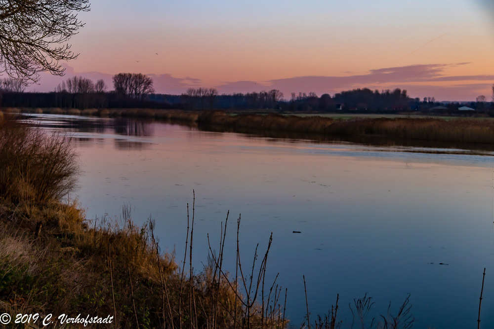 Wichelen - Polder Bergenmeersen