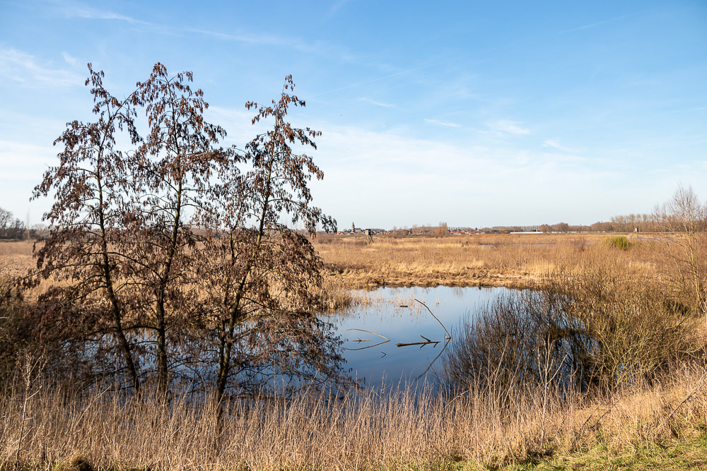 Overstromingsgebied tussen Schelde en Baasrodeveerstraat Kastel
