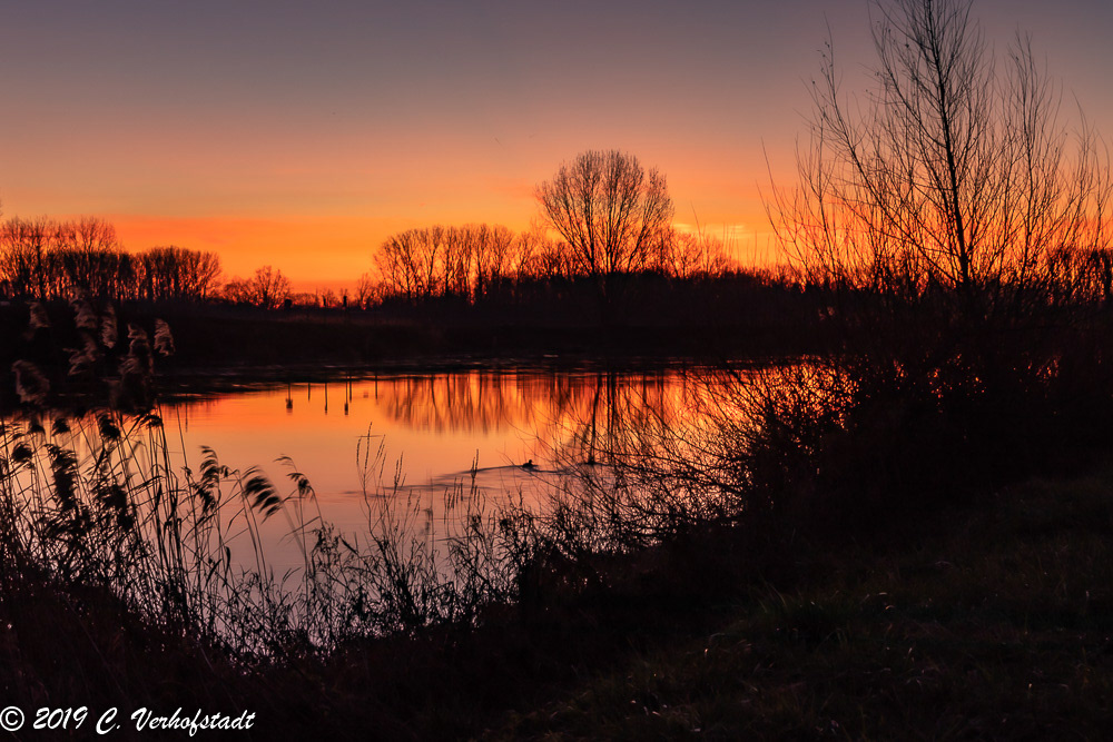 Wichelen - Polder Bergenmeersen