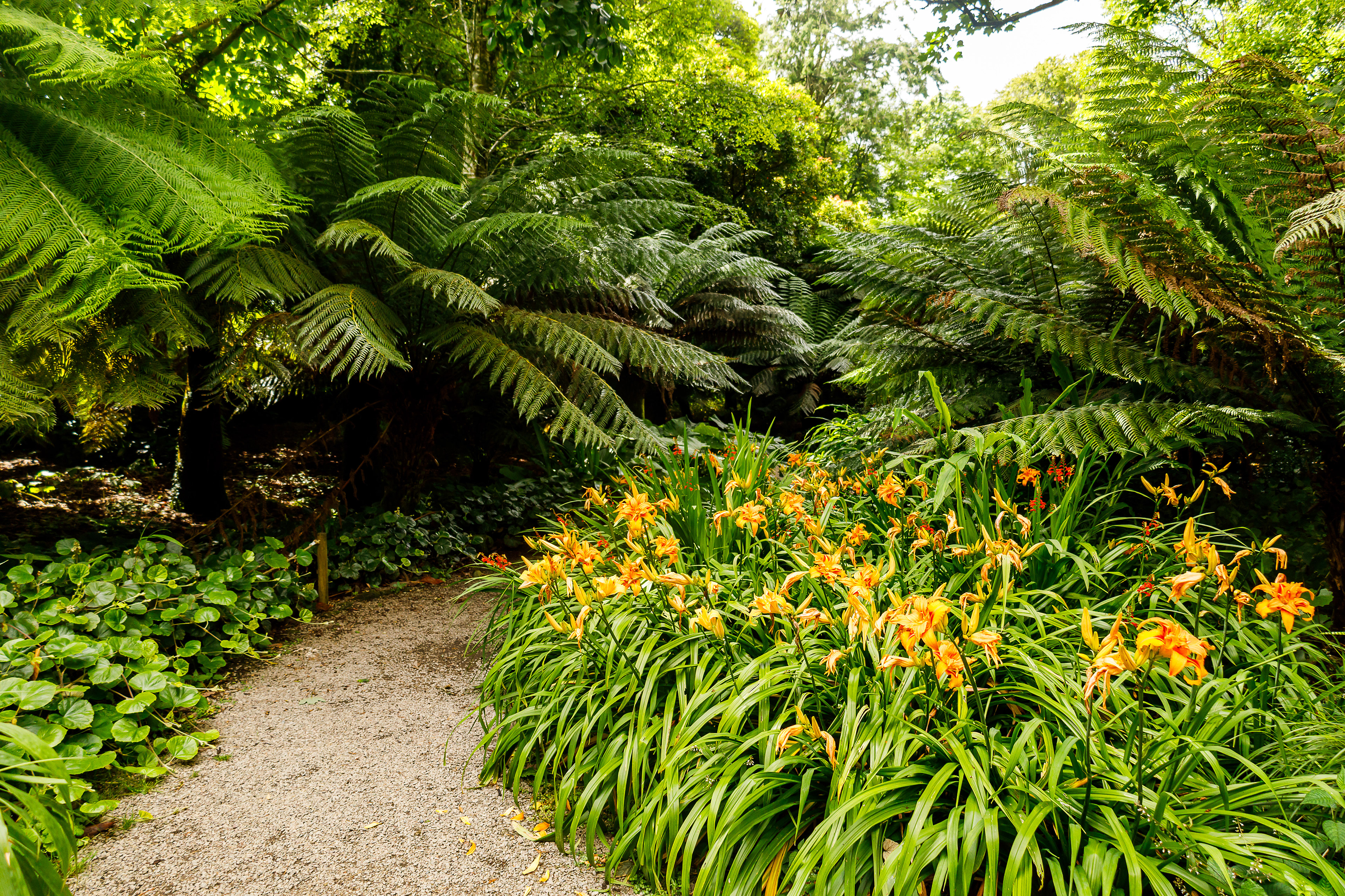 Trengwainton Garden