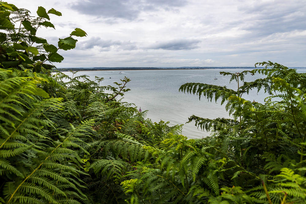 Old Harry Rocks