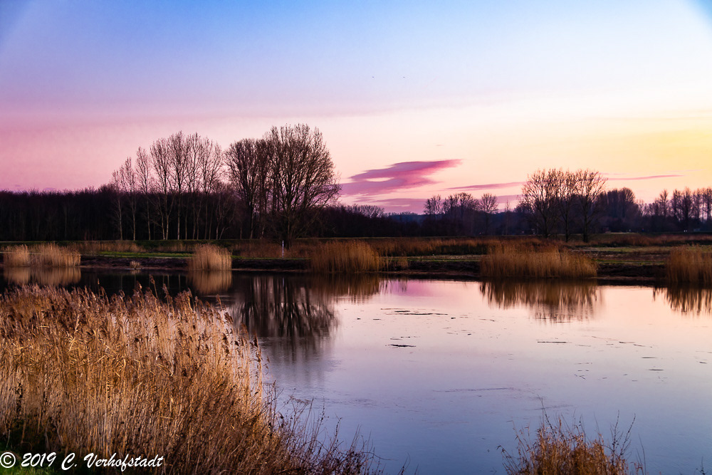 Wichelen - Polder Bergenmeersen