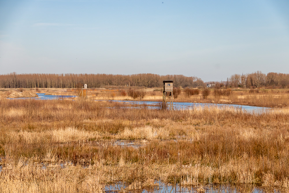 Overstromingsgebied tussen Schelde en Baasrodeveerstraat Kastel