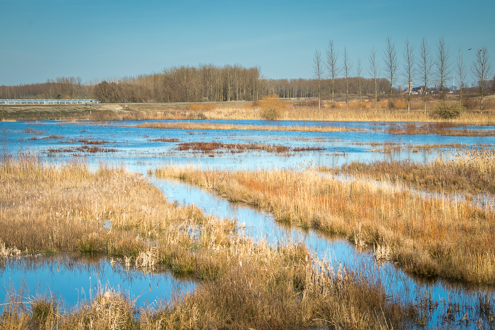 Overstromingsgebied tussen Schelde en Baasrodeveerstraat Kastel