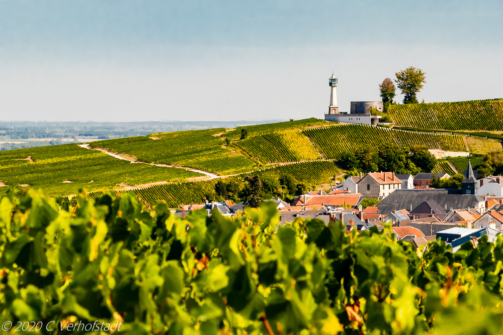 Montagne De Reims
