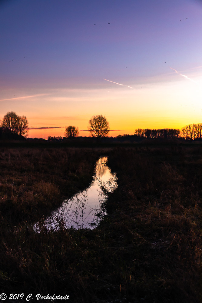 Wichelen - Polder Bergenmeersen