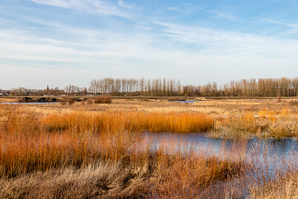 Overstromingsgebied tussen Schelde en Baasrodeveerstraat Kastel
