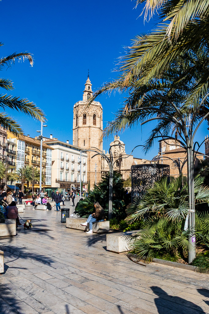 Kathedraal La Seu, Plaza de La Reina