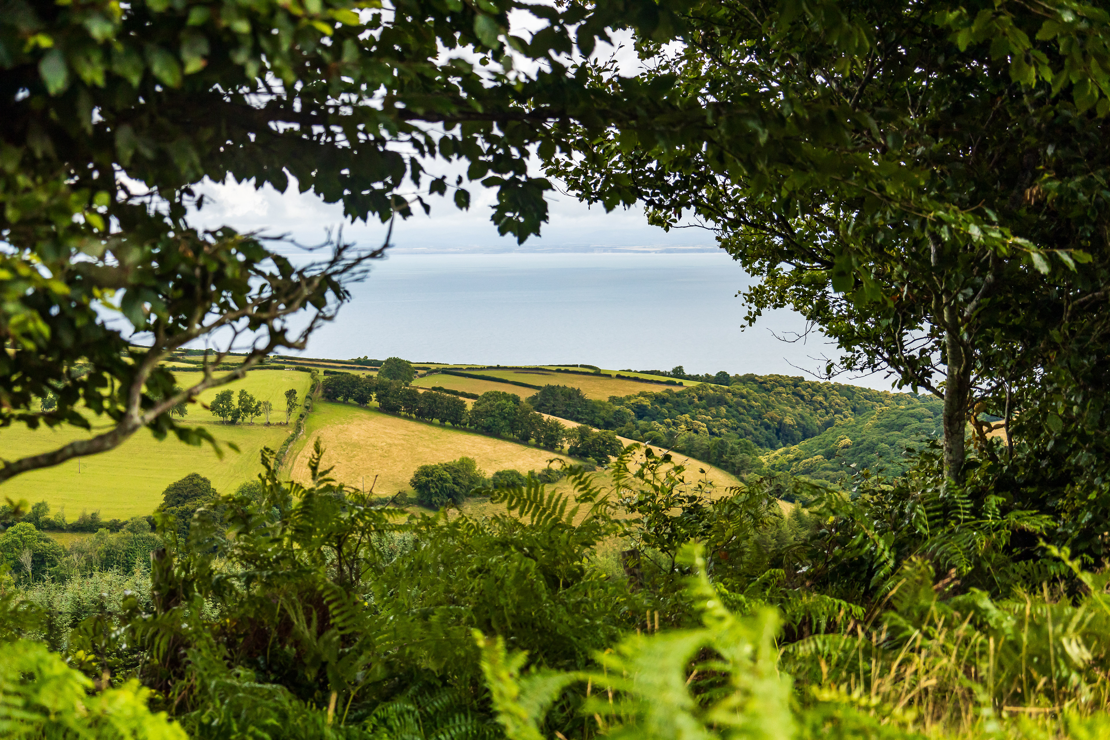 North Devon - Exmoore Park