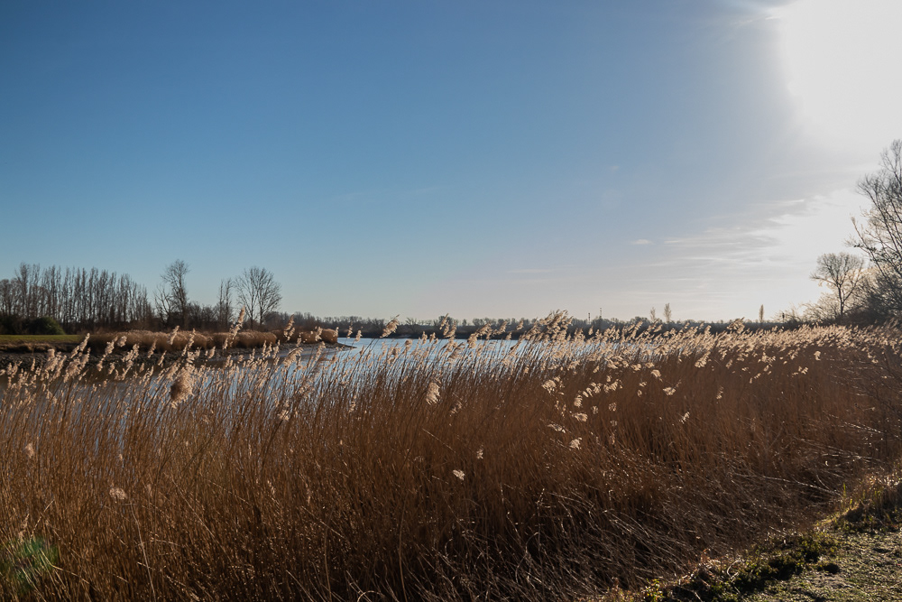 Oevers Kastel
