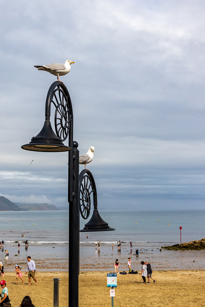 Lyme Regis (Jurrasic Coast