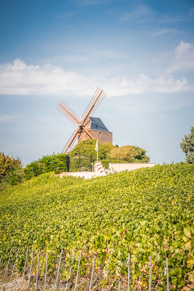 Montagne De Reims