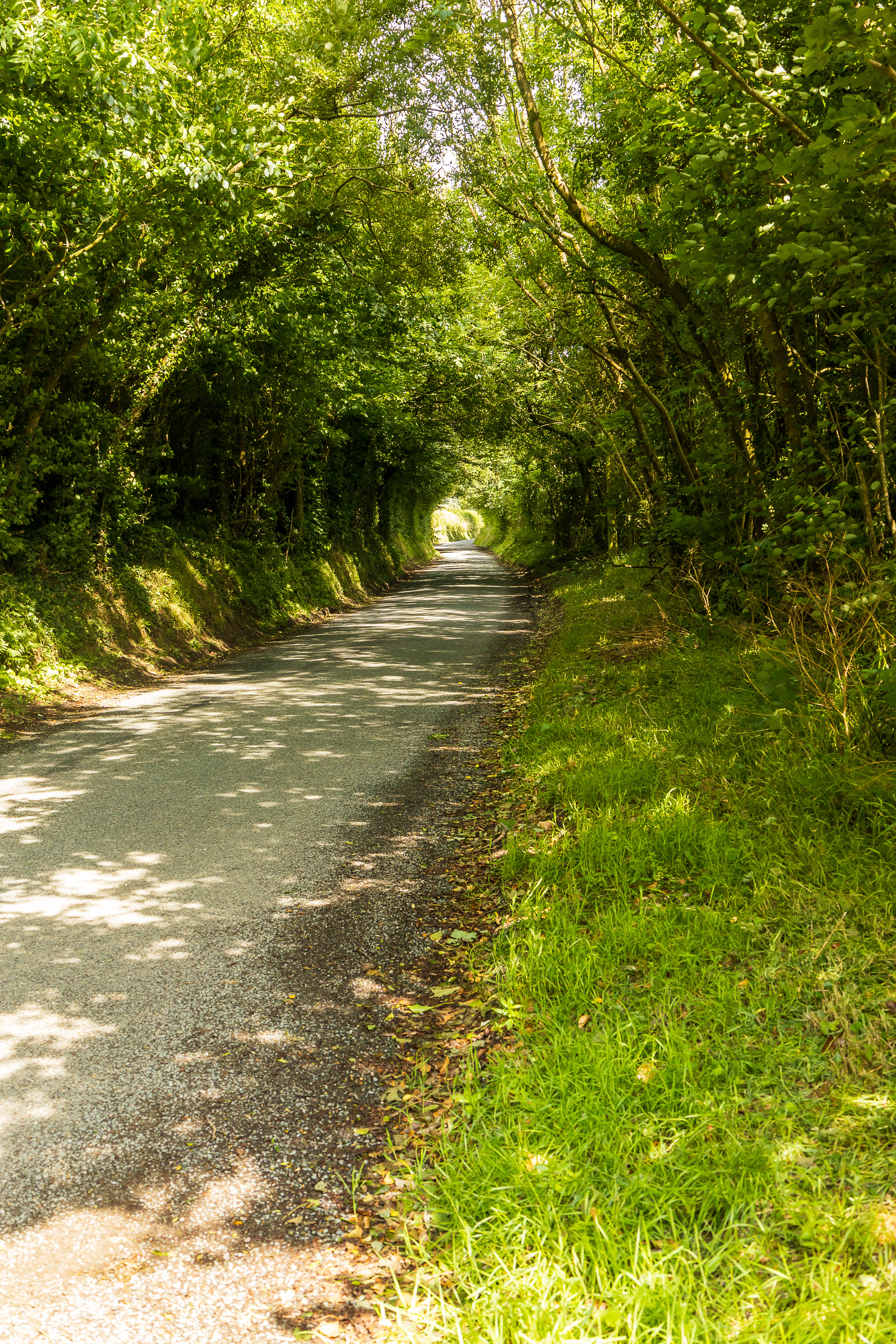 Exmoore Park - North Devon