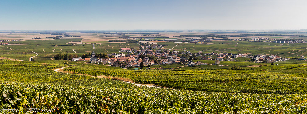 La Côte des Blancs