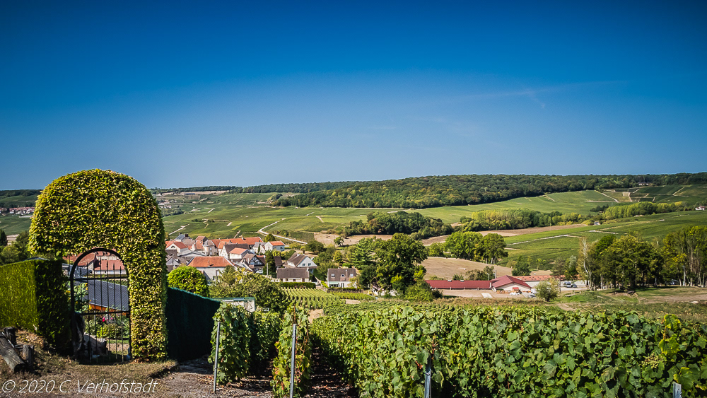 La Côte des Blancs
