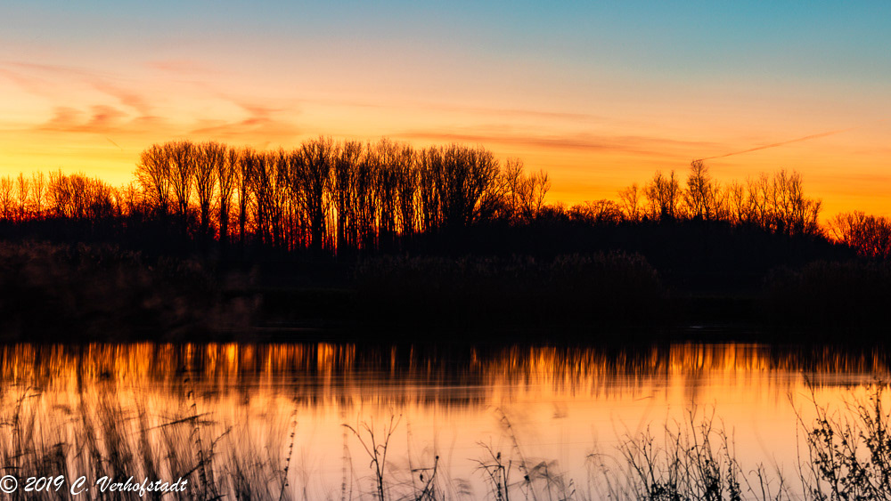 Wichelen - Polder Bergenmeersen