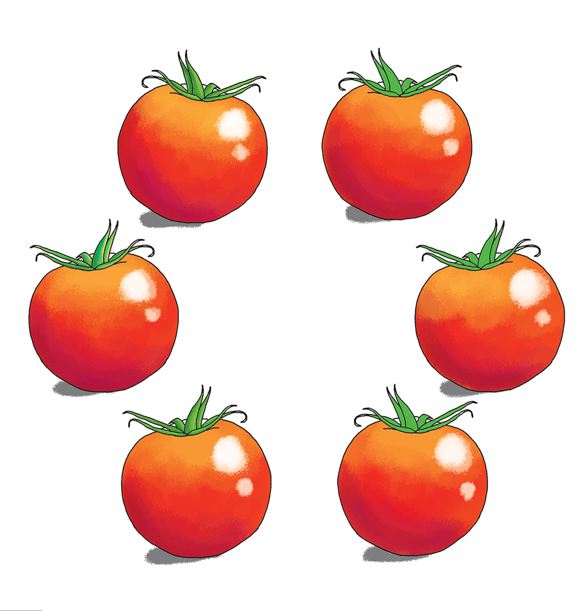 6 - illustration