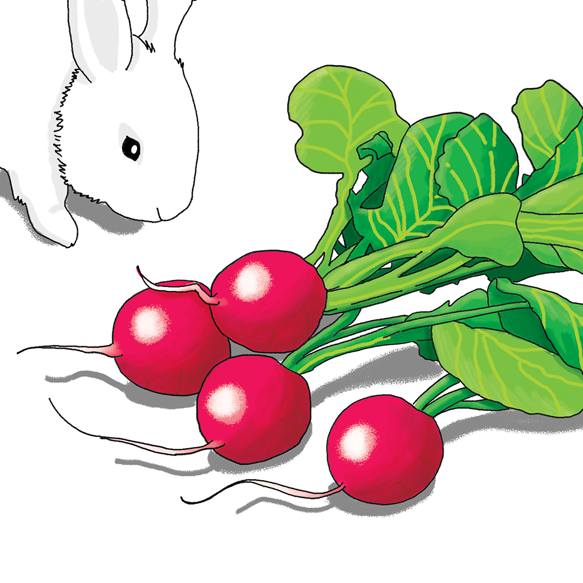 four - illustration