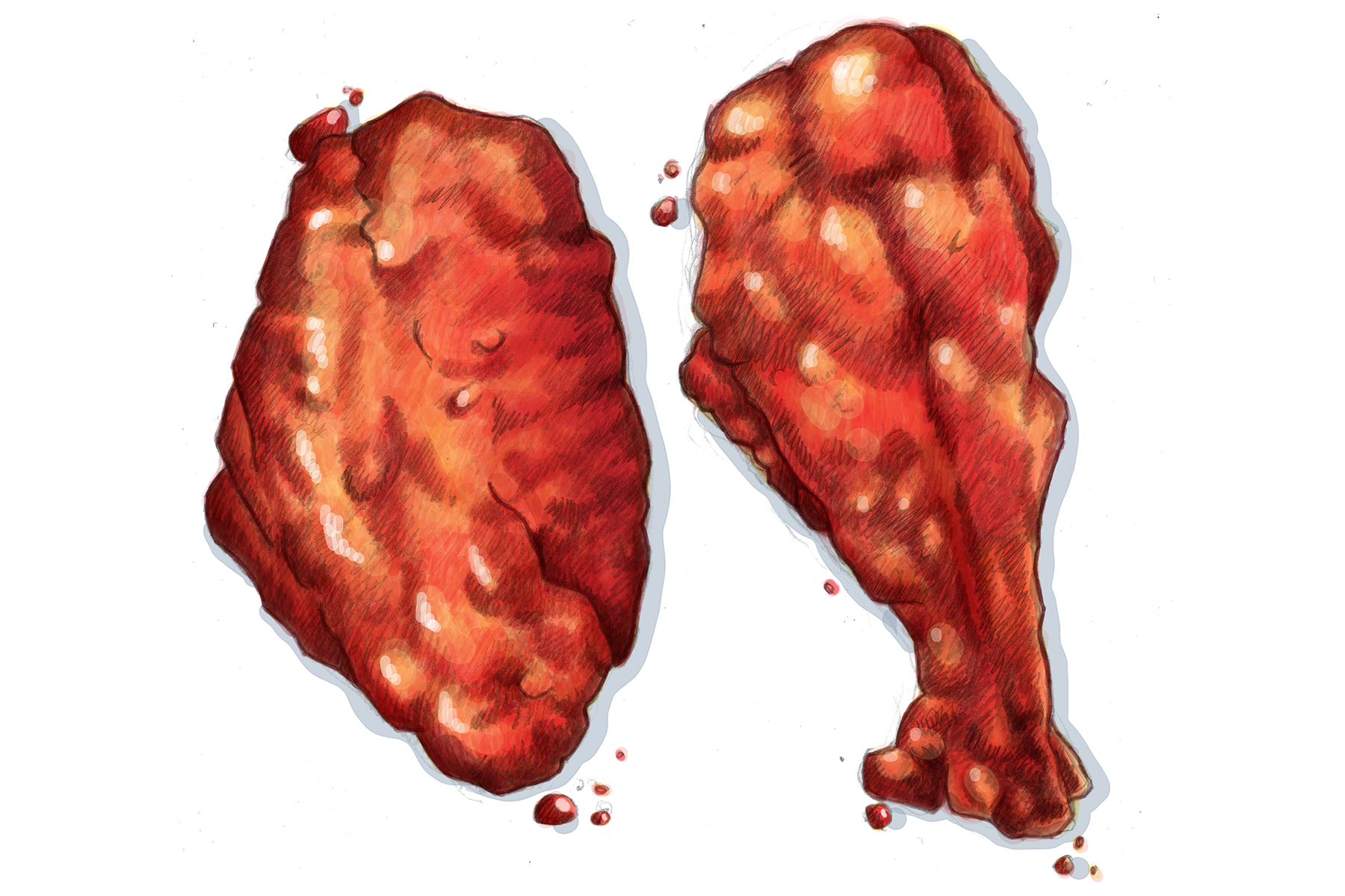 Wings - food portrait