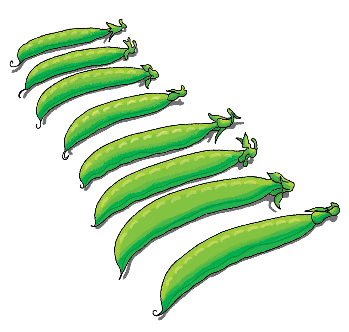 8 - illustration