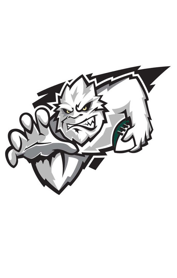 GREEN BAY BLIZZARD - HELMET LOGO