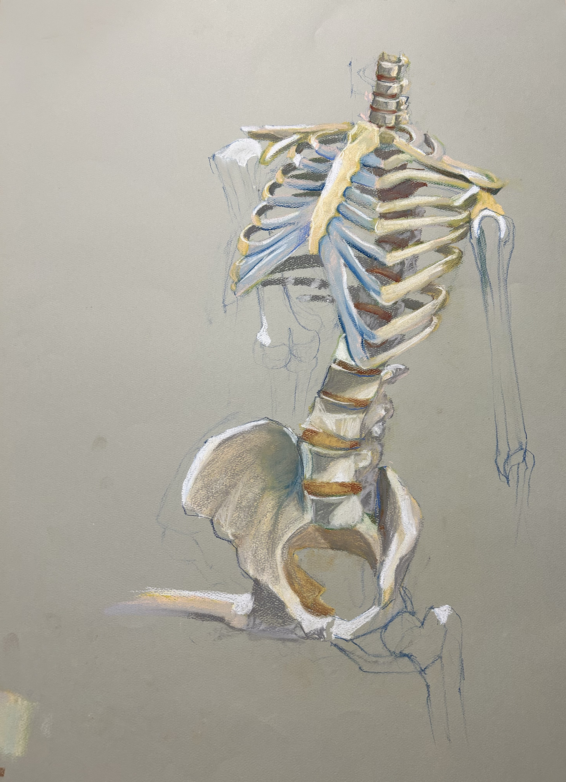 Pastel 18" x 24"
