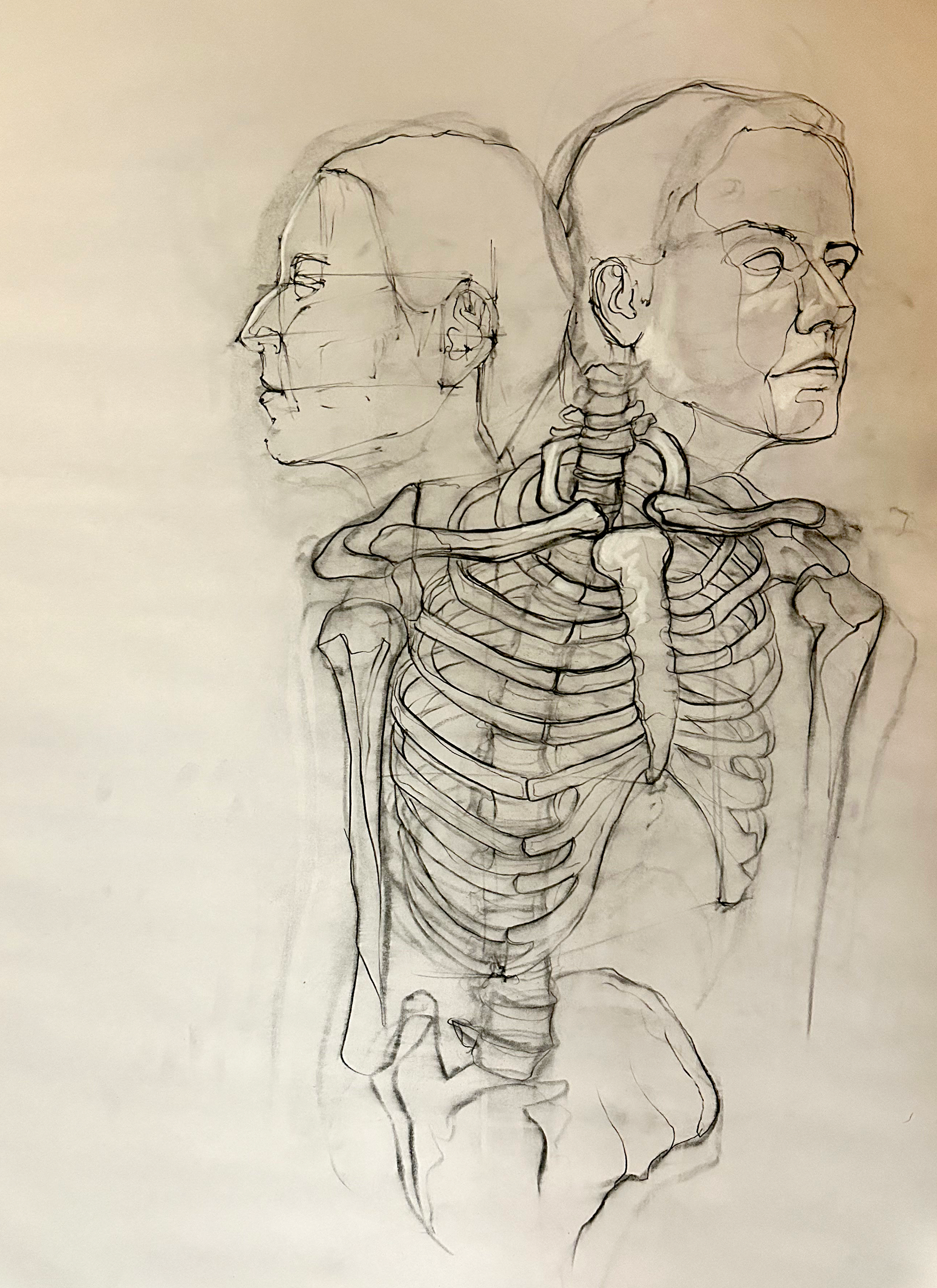Charcoal and Chalk on Newsprint 24" x 36"