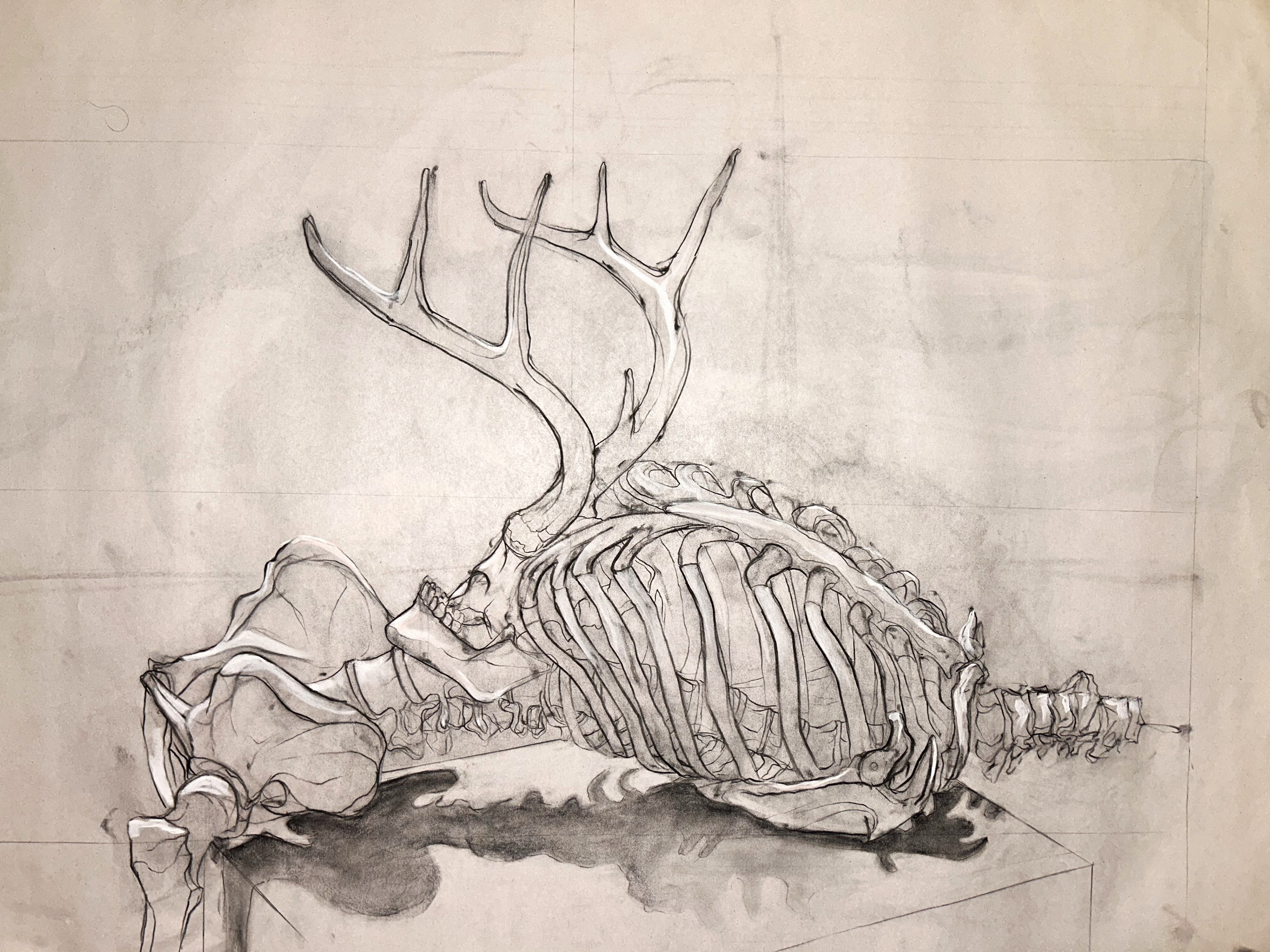 Charcoal and Chalk on Newsprint 36"x 24"
