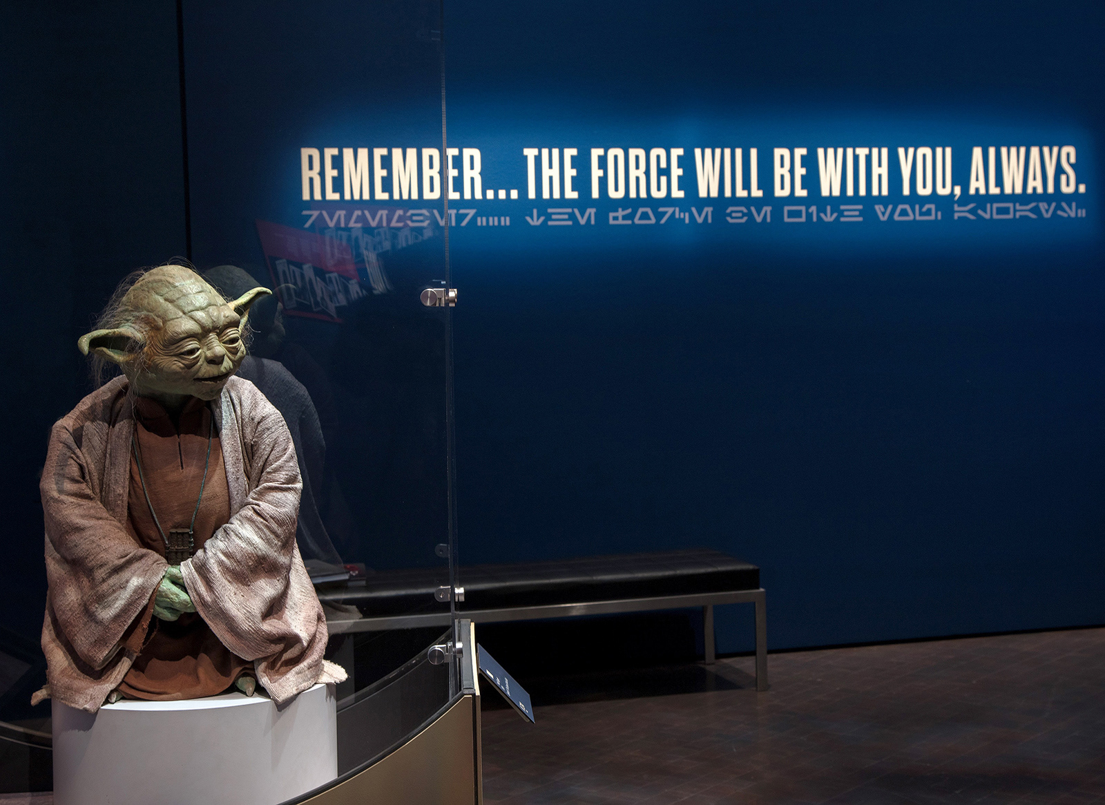 Photos courtesy of Jeff Wells. Images copyright Lucasfilm Ltd.