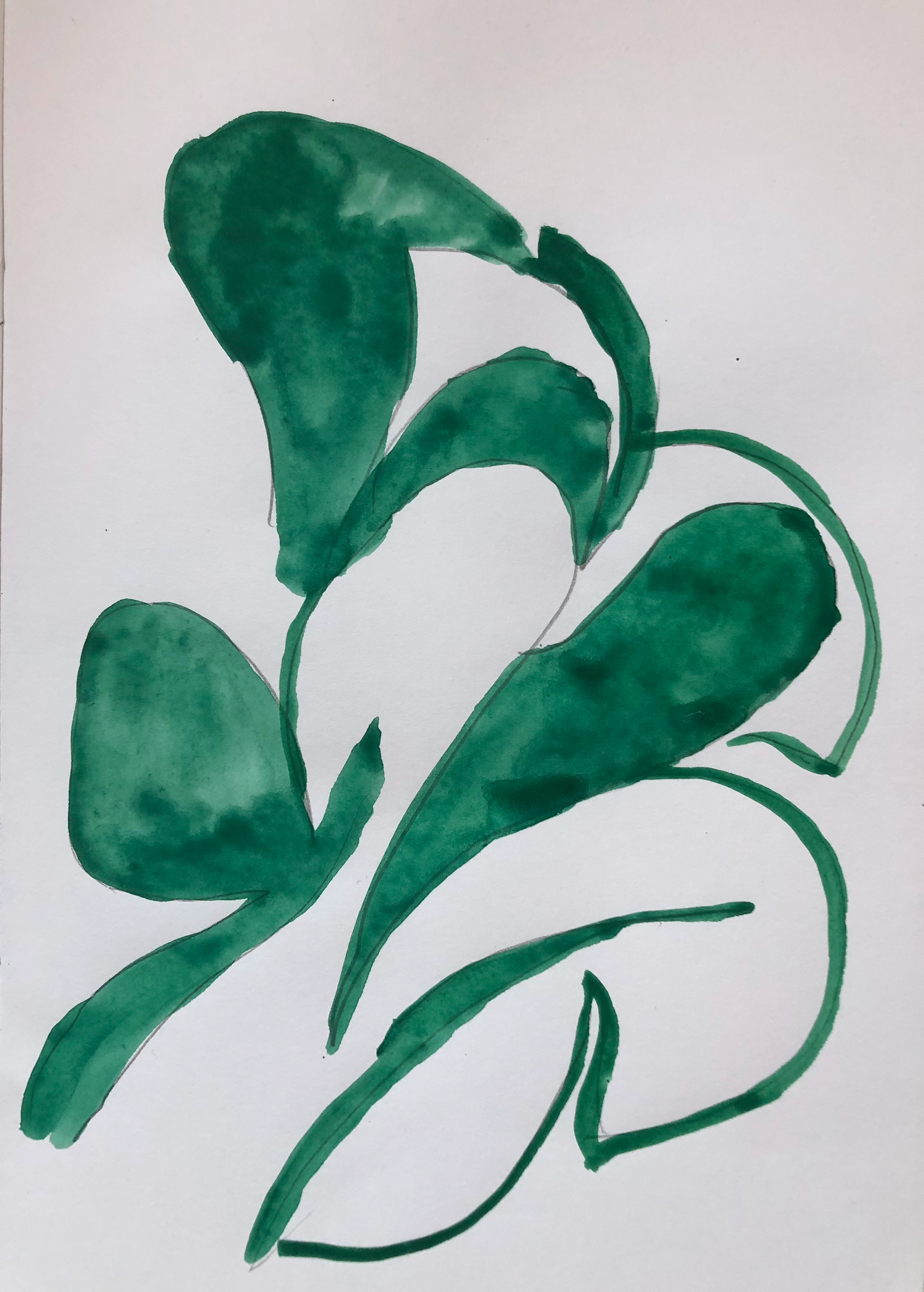 Faded Green coat, gouache, pencil on paper, 20,5 x 29 cm, 2020 (90 euros)