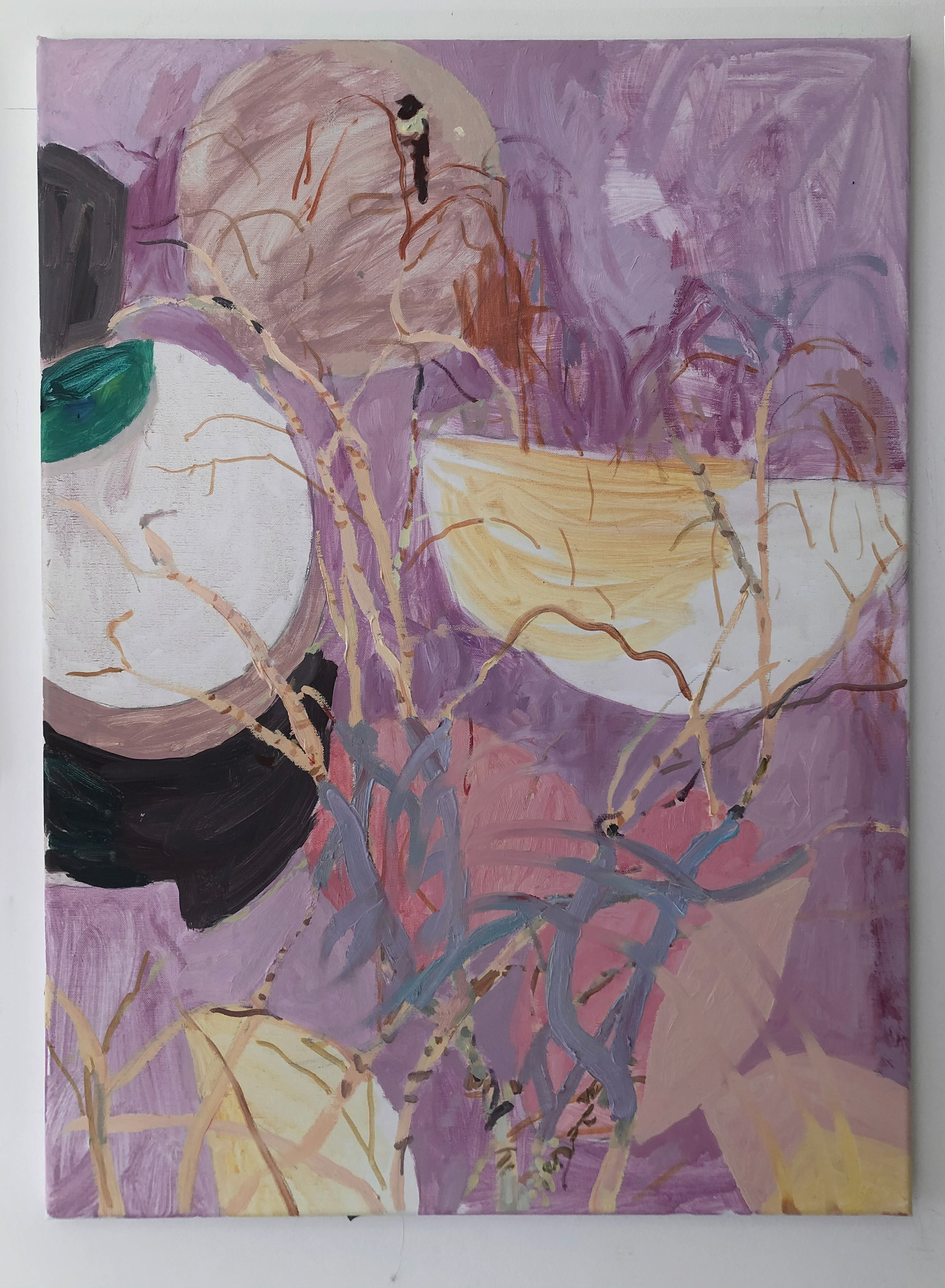 Magpie, 60 x 76 cm, 2021