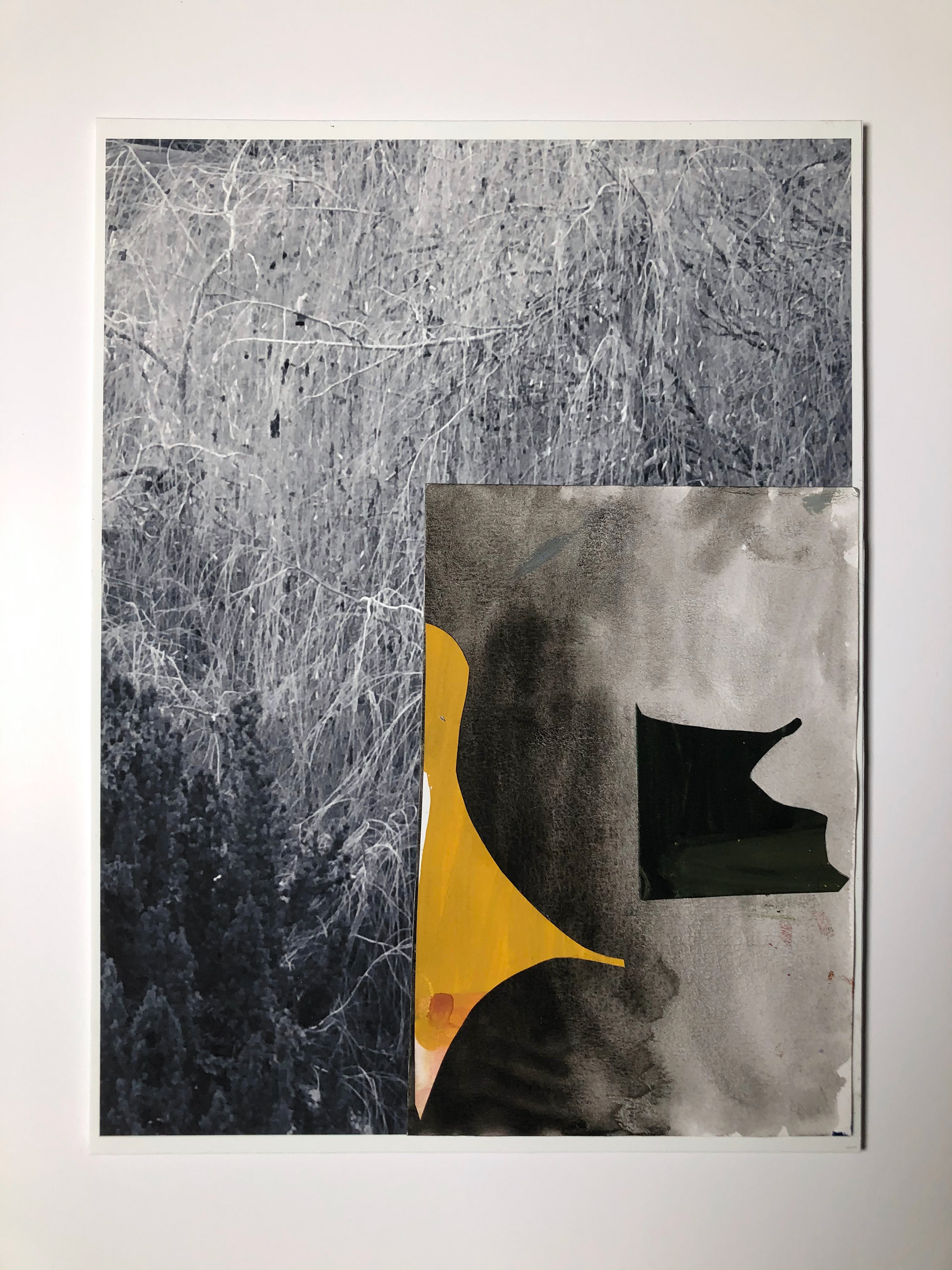 Wood pigeon, 20,5 x 29 cm, 2021 (Sold)