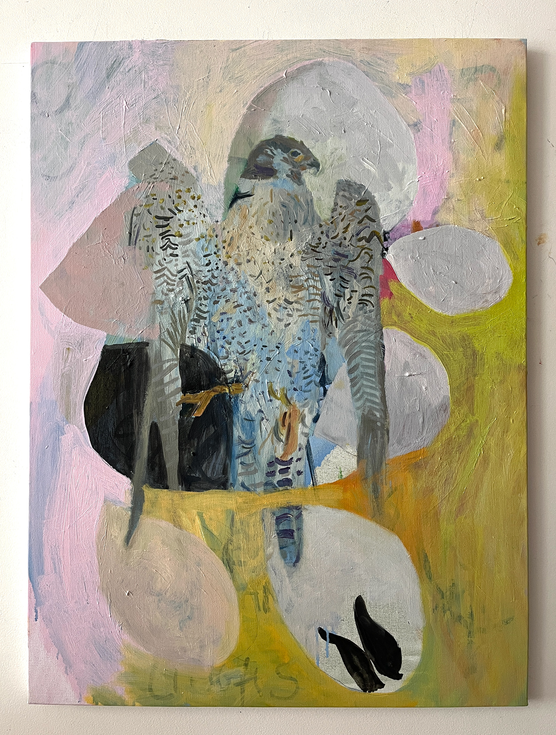 Untitled, 60 x 80 cm, oil on linen, 2024